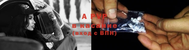 ECSTASY Заволжье